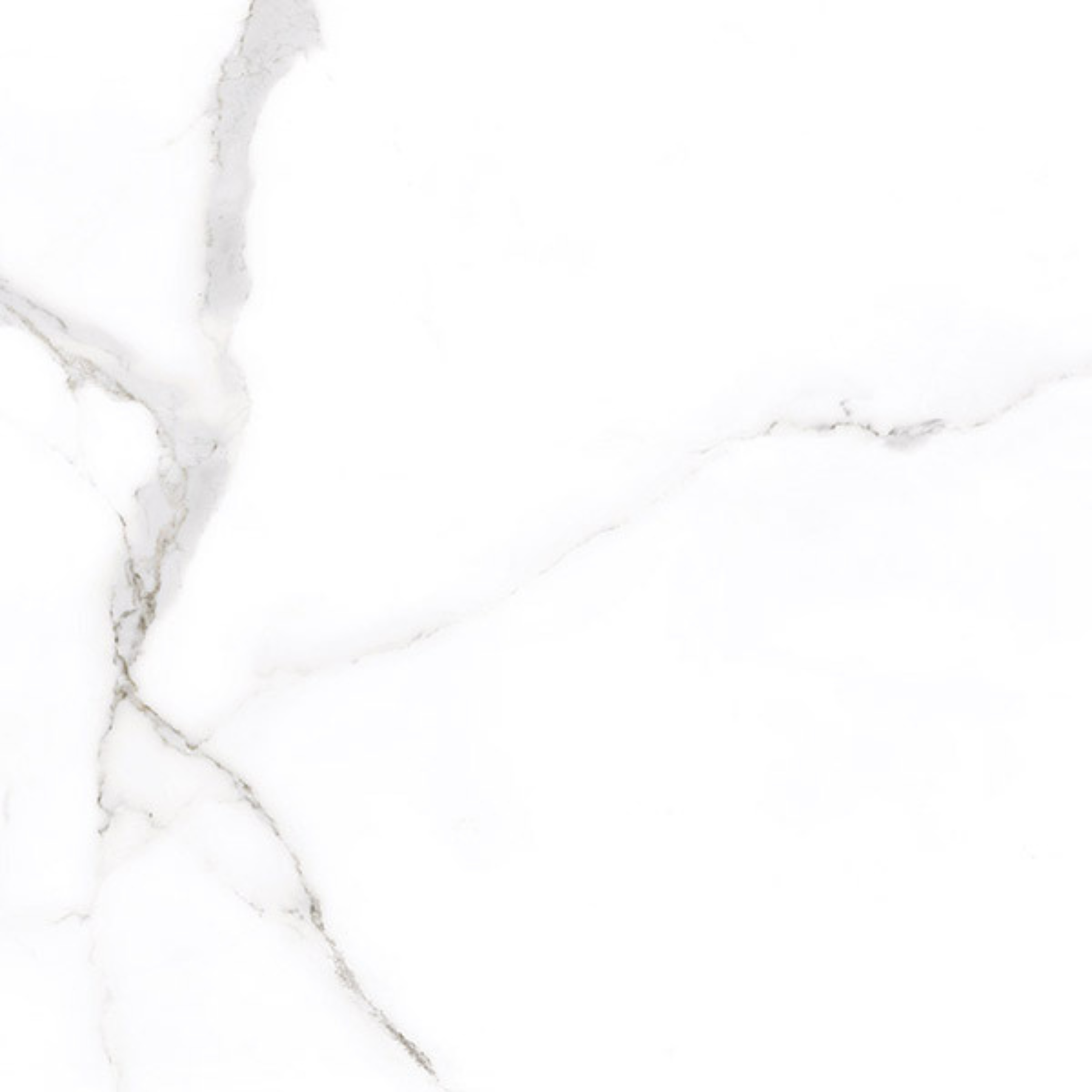 Asia White Carrara Marble Effect Porcelain Matt 99.9x99.9cm