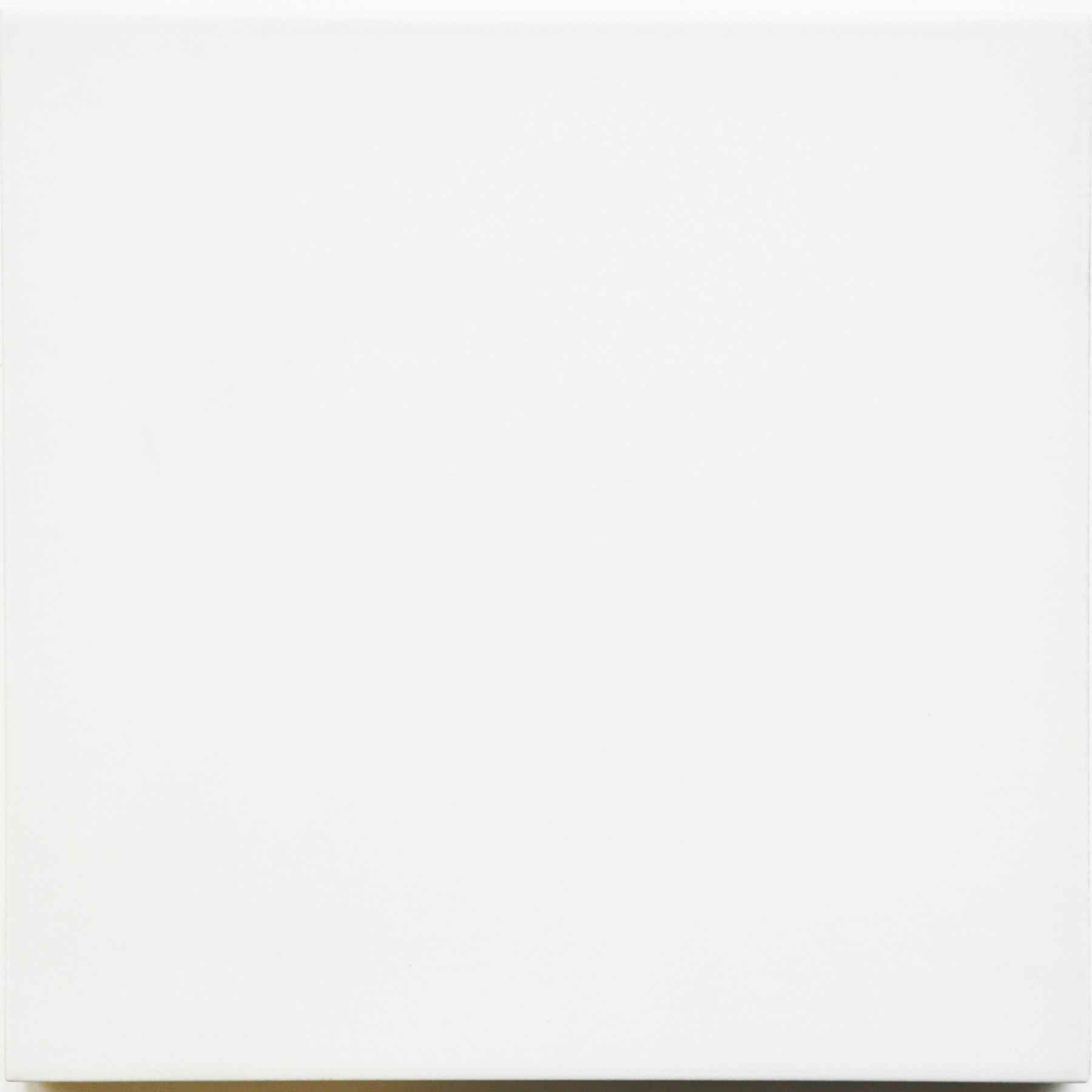 Kartal White Porcelain Matt Wall & Floor Tile 20x20cm