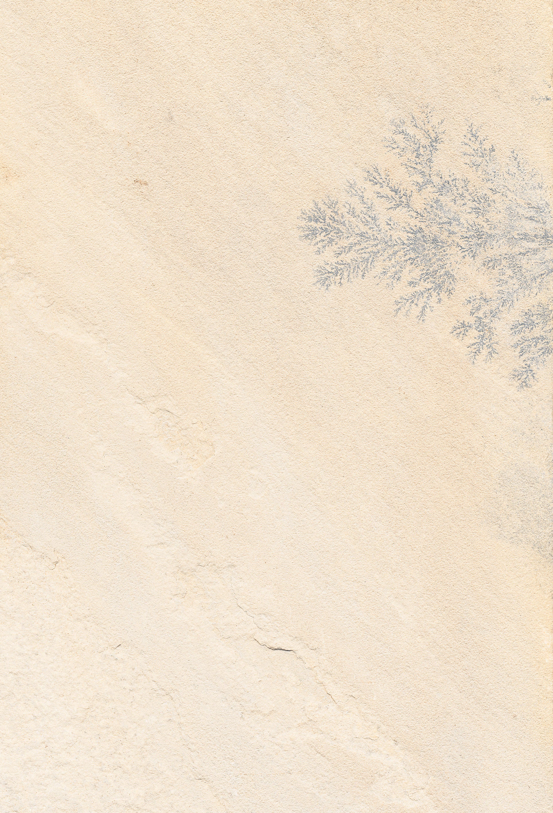 Mistral Sandstone Beige Porcelain Patio Tile 60x90cm 2cm