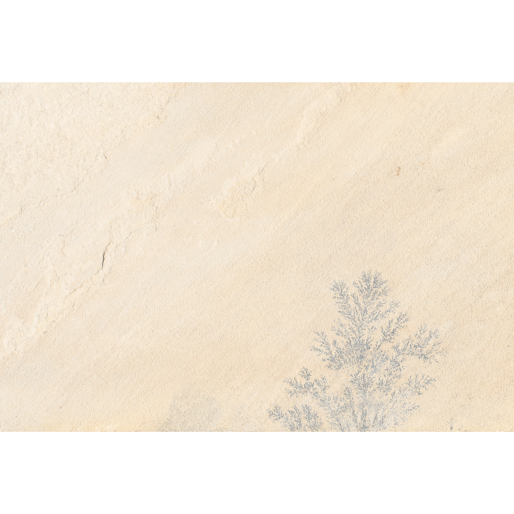 Mistral Beige Porcelain Textured 60x90cm 2cm