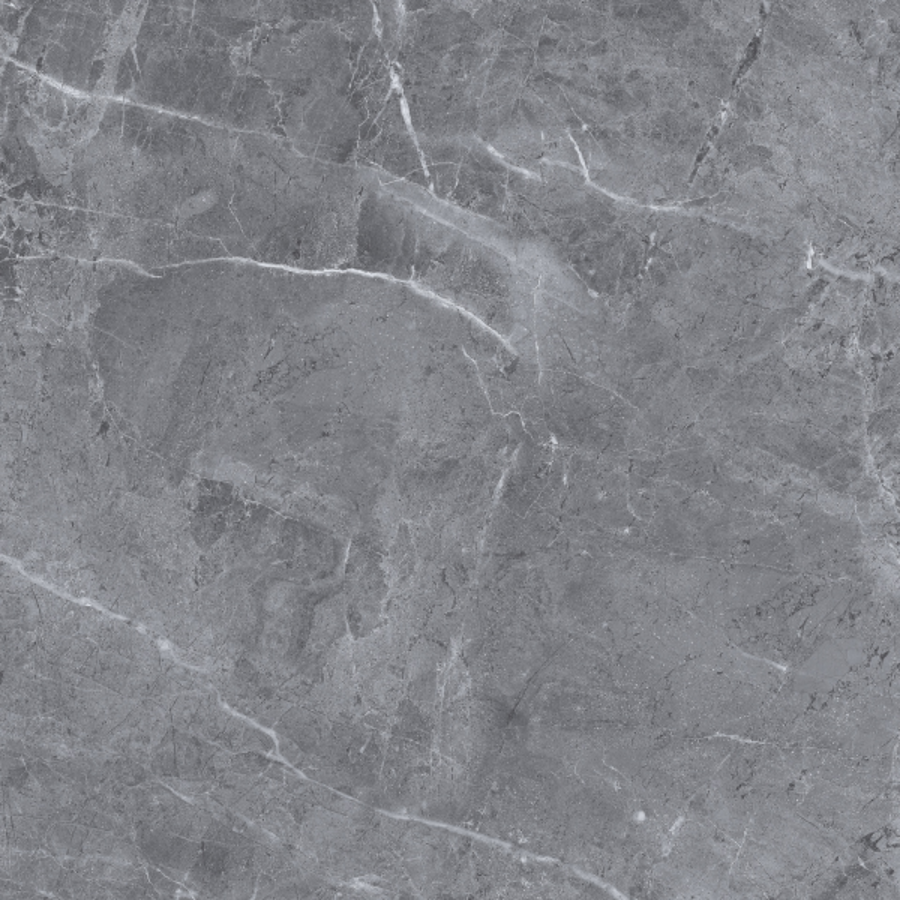 Prata Anthracite Porcelain Gloss 80x80cm