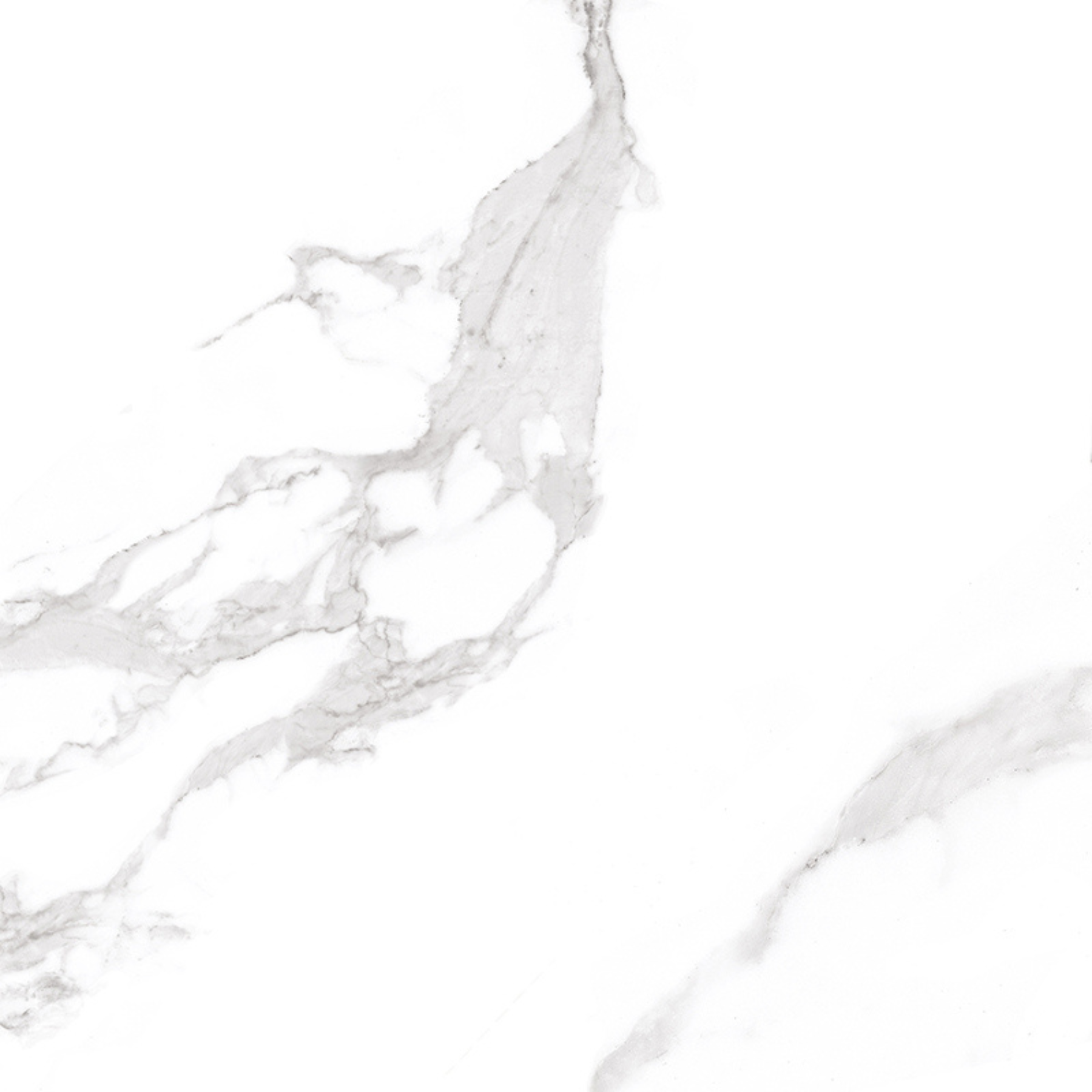 Rocca White Porcelain Matt 80x80cm