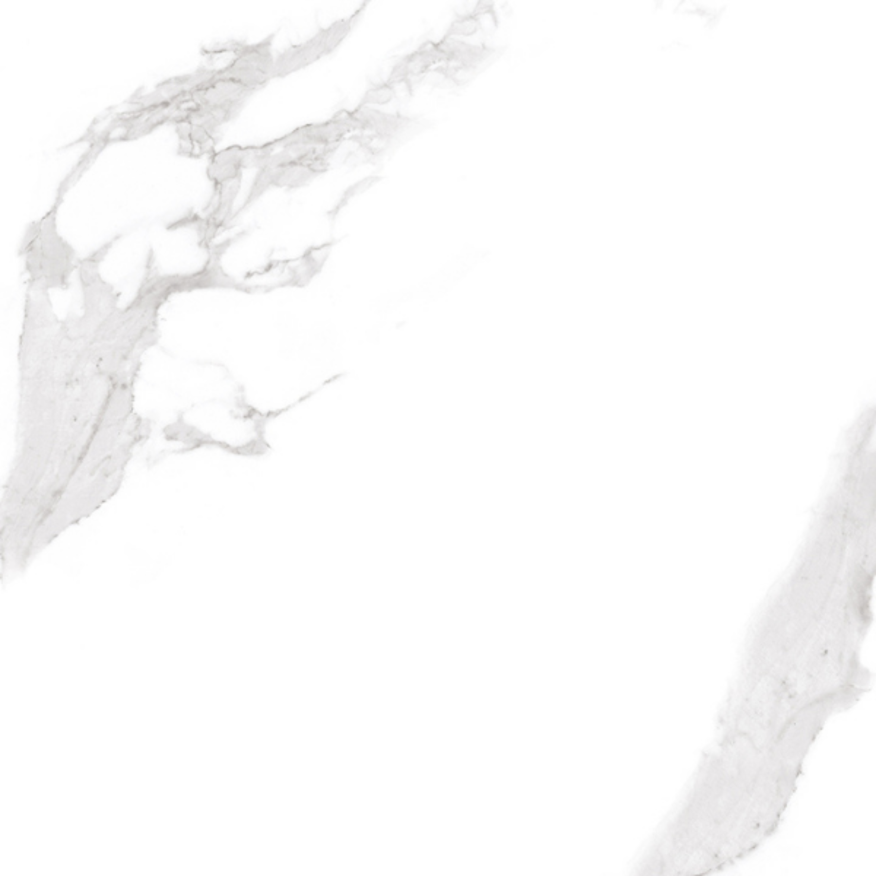Rocca White Porcelain Matt 80x80cm