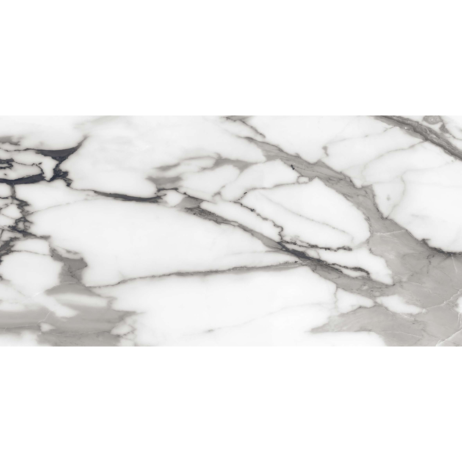 Terini Graphite Porcelain Gloss 60x120cm