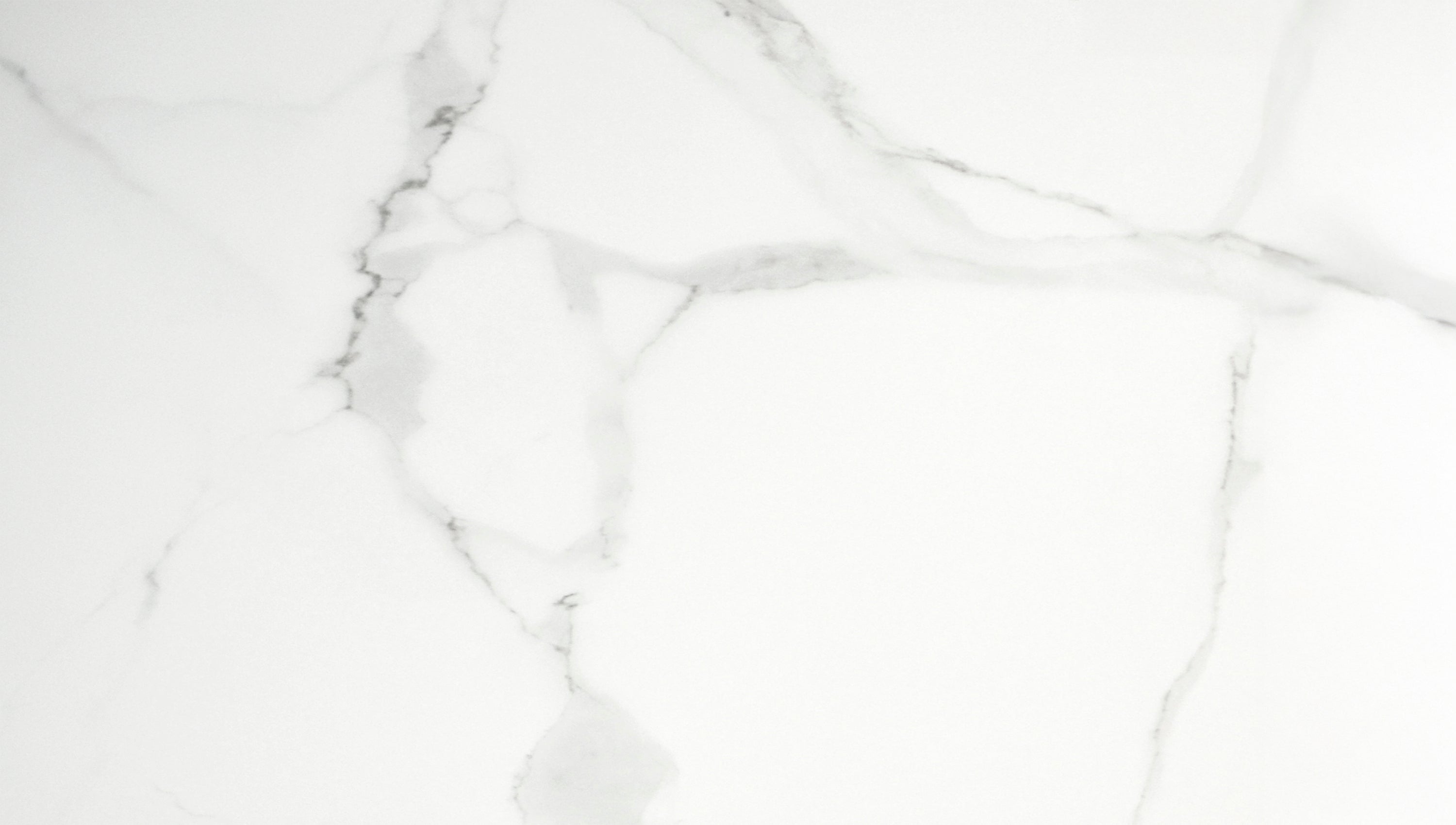 Asia White Porcelain Matt 60x120cm