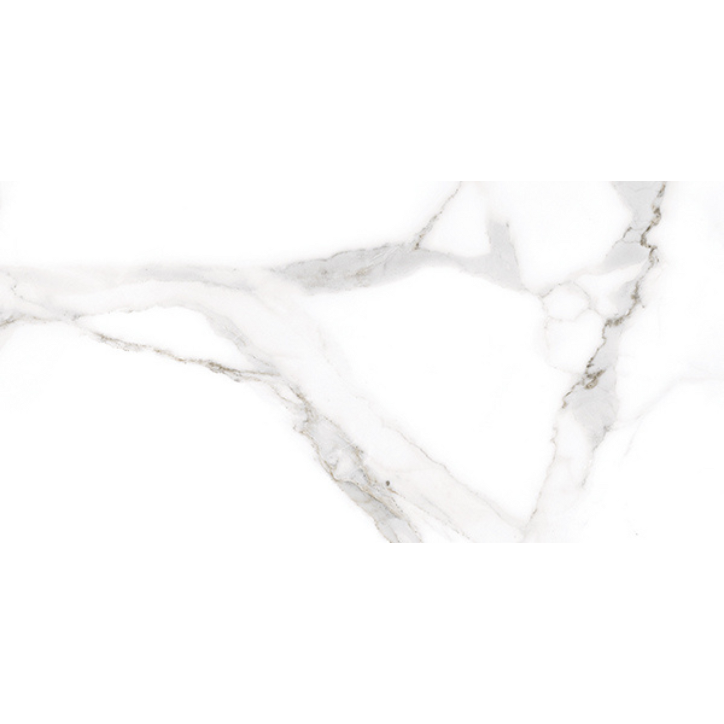 Alsacia White Porcelain 60x120cm (per m²)
