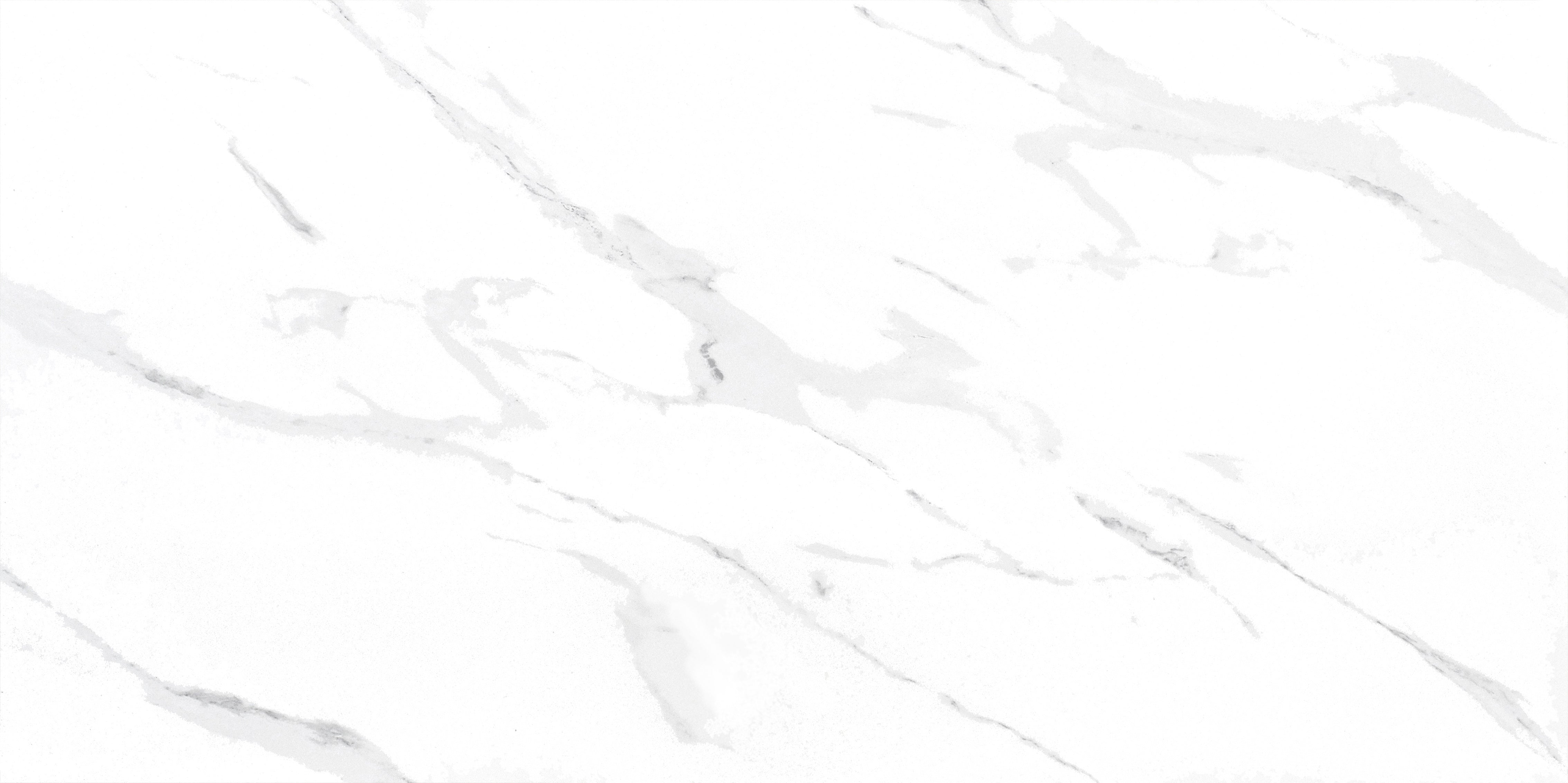 Classic Carrara White Porcelain Matt 60x120cm