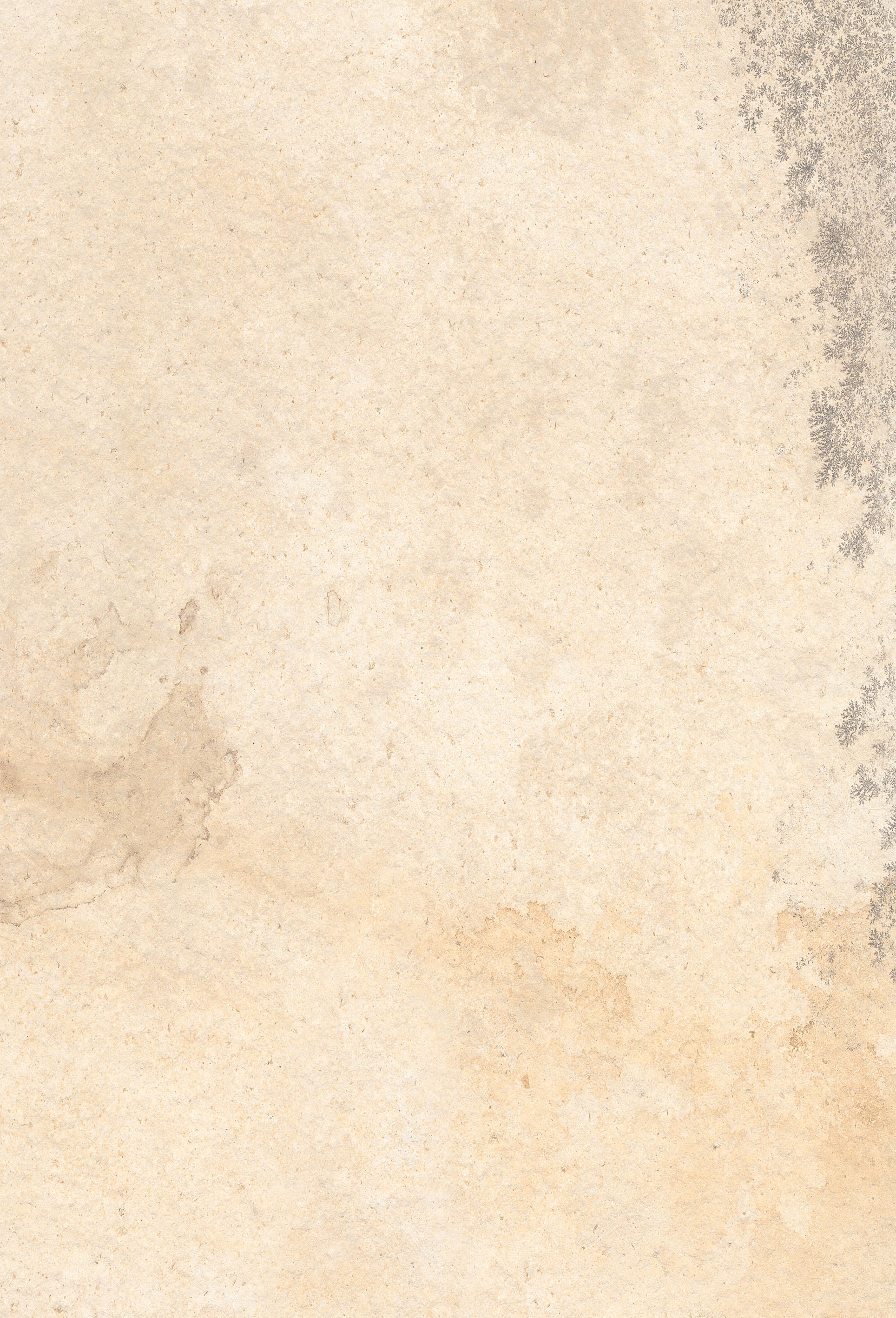 Mistral Sandstone Beige Porcelain Patio Tile 60x90cm 2cm