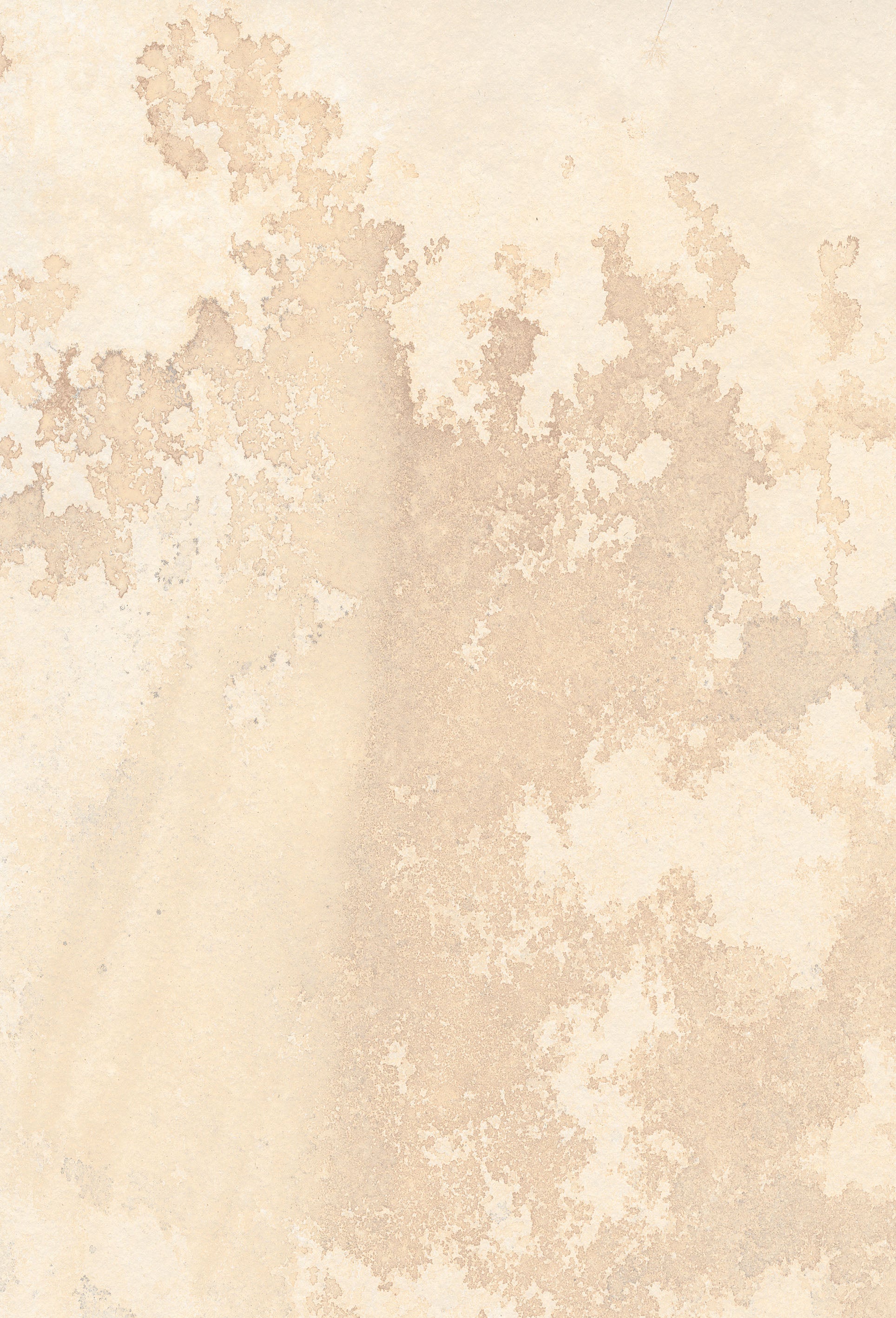 Mistral Sandstone Beige Porcelain Patio Tile 60x90cm 2cm