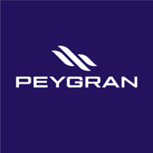 Peygran Logo.png__PID:b546b564-08b8-4d2a-8e9c-4bcb95990b47